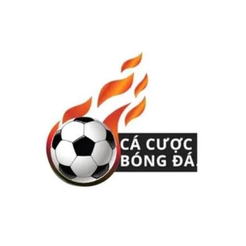 Cacuocbongda One