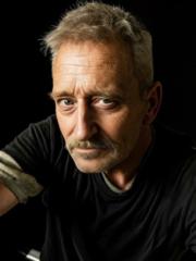 Anjou Gypsy de Trampes