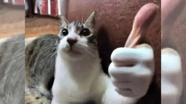 Kosma Przybyłkowski