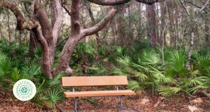 Safe Haven-Mastering Recovery 