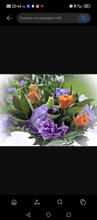 Боряна Томова