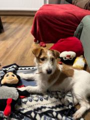 Sebők Szabó Ildikó