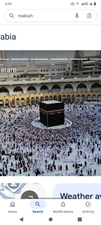 Marwa Fareed