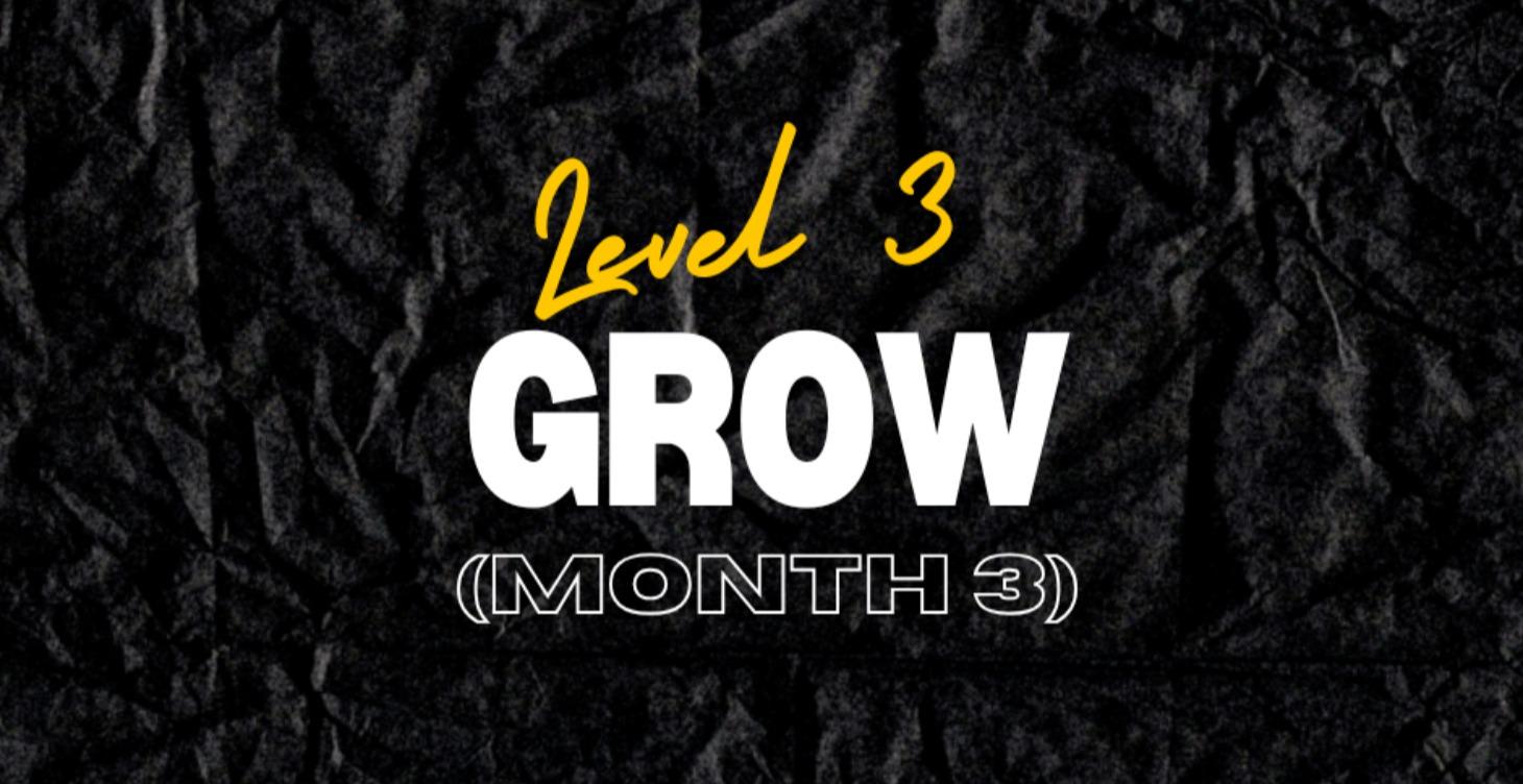 Level 3: Grow (Month 3)