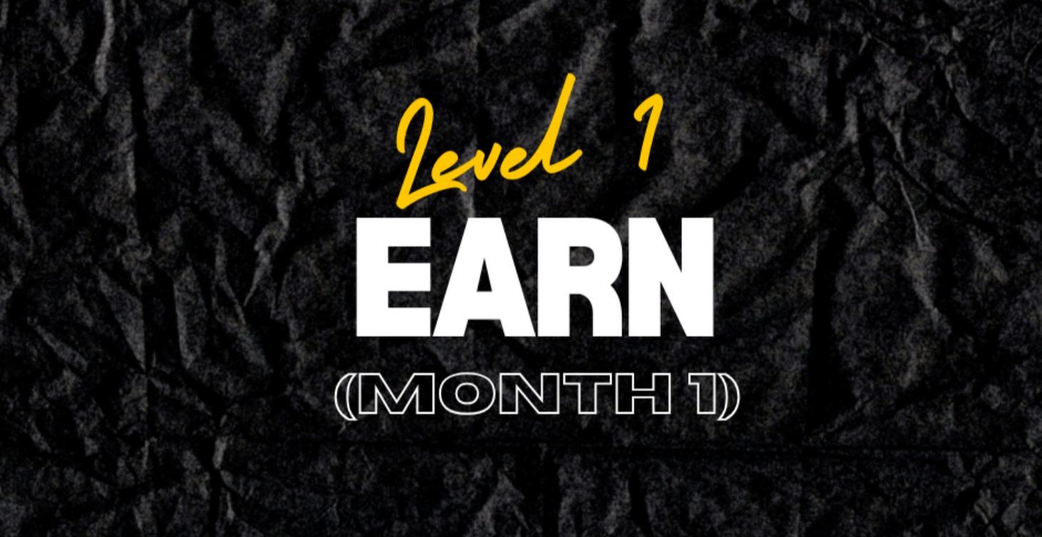 Level 1: Earn (Month 1)
