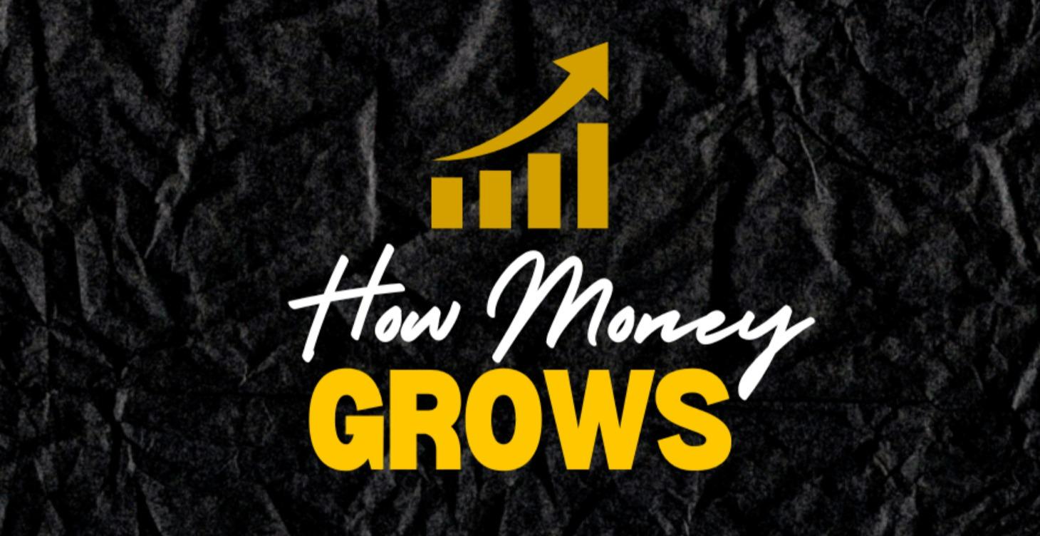Step 4 - How Money Multiplies (GROW)