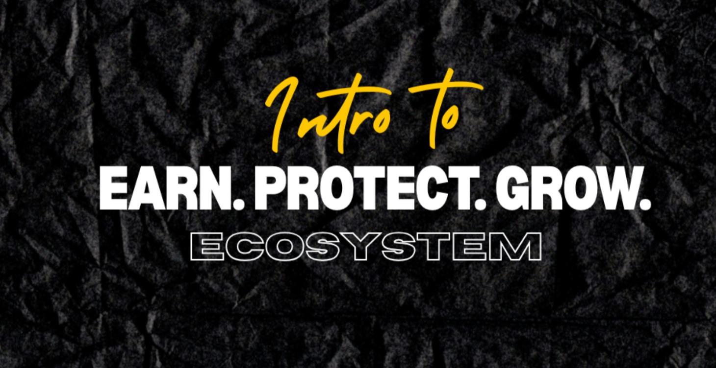 Intro to Earn Protect Grow