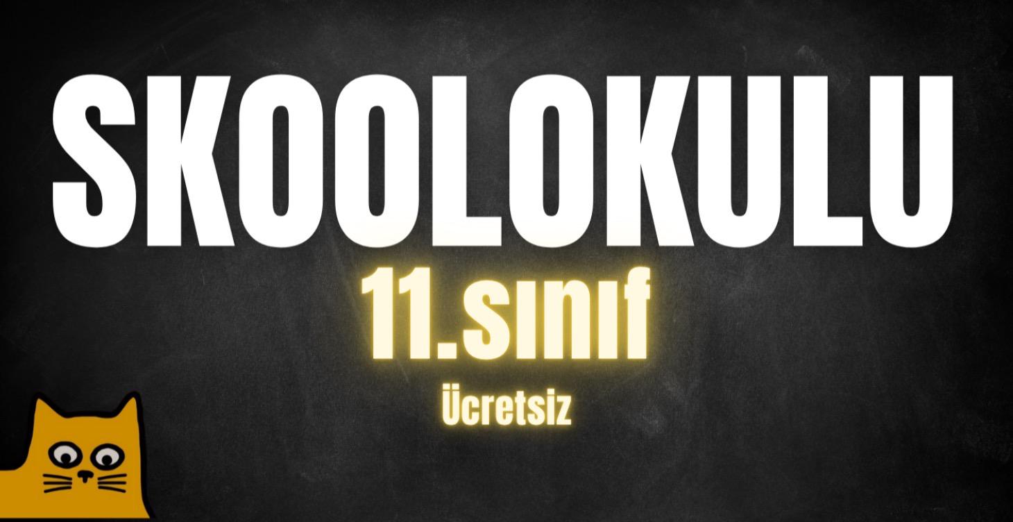 Skool Okulu 11.Sınıf