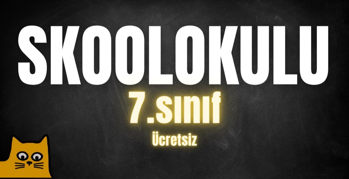 Skool Okulu 7.Sınıf
