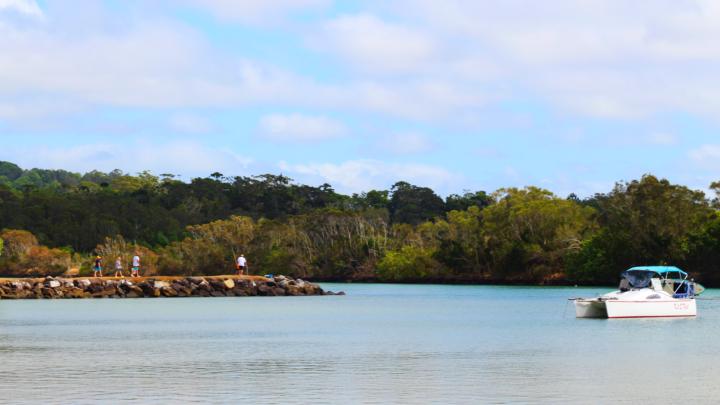 I had five minutes to capture these