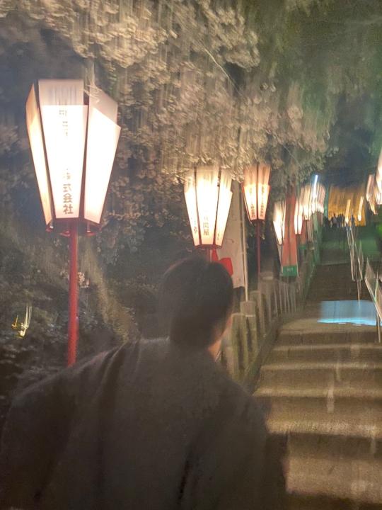 Minami Kobo