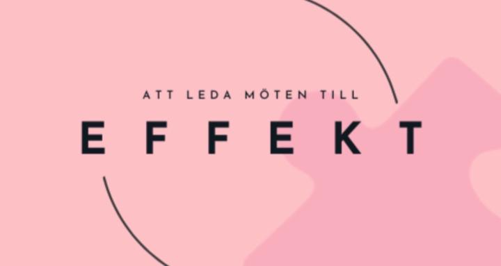 Att Leda Möten till Effekt