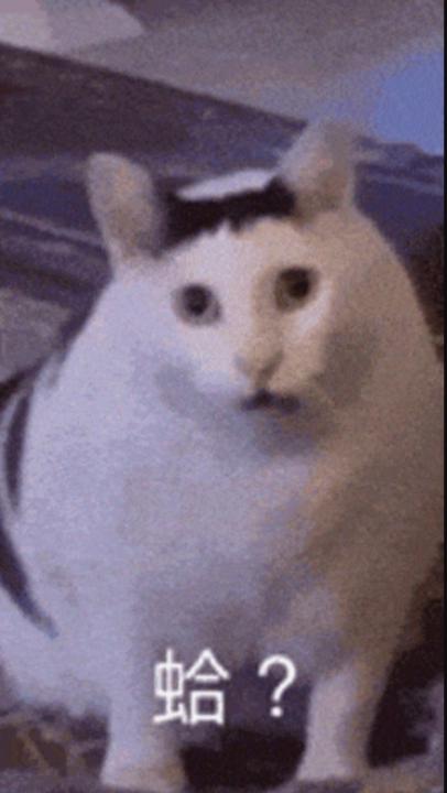 彙元 趙