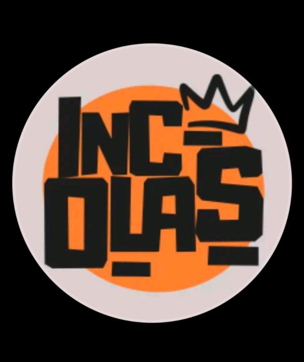 Olasunkanmi Income