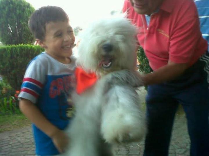 Berenice Campow