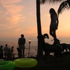 Million-destin Vargas