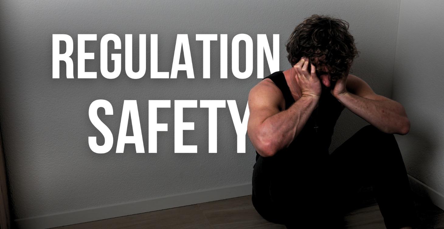 Emotional Regulation & Nervous System Safety