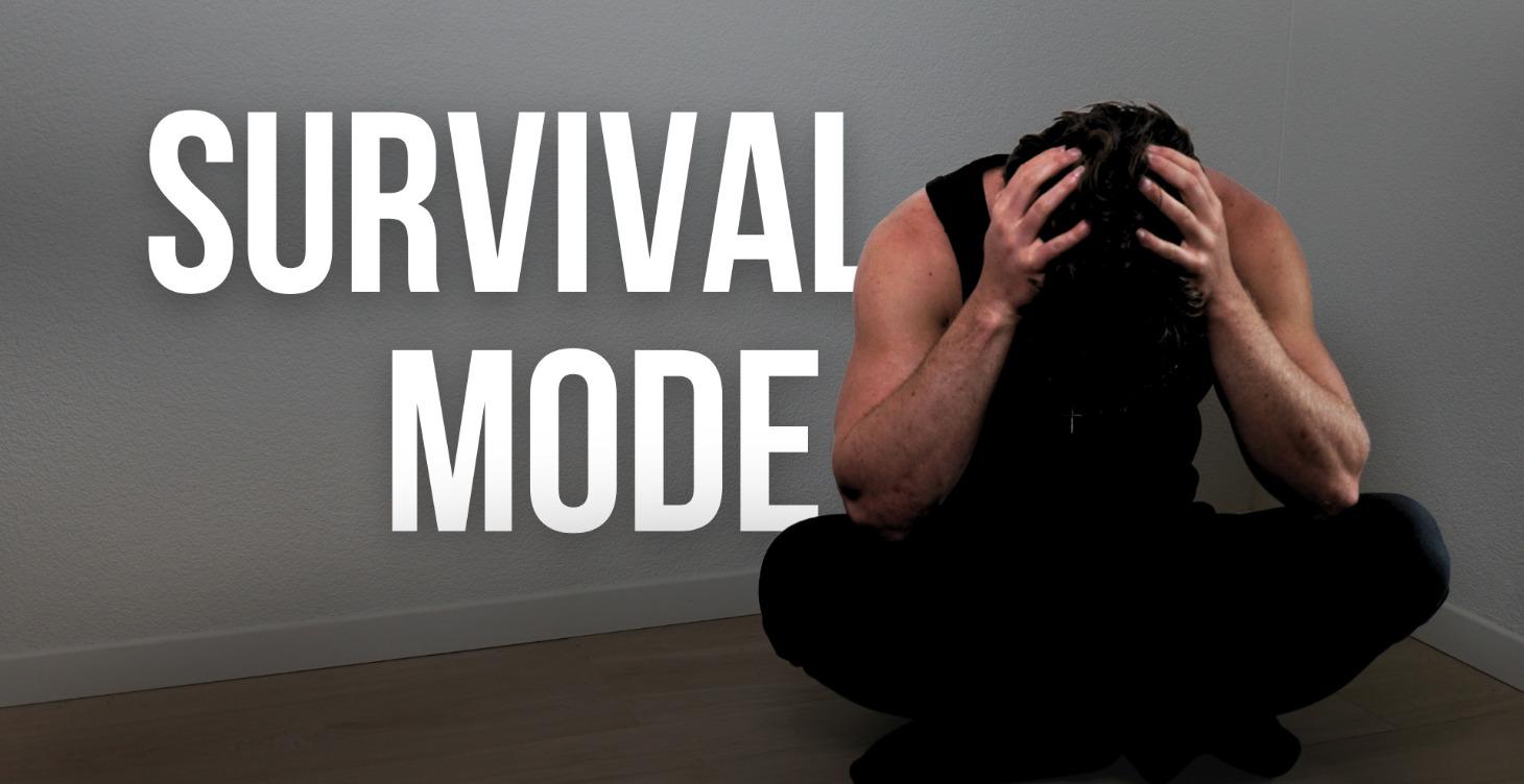 Understanding Survival Mode