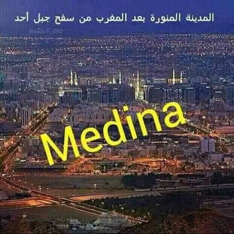 Media Mohammed