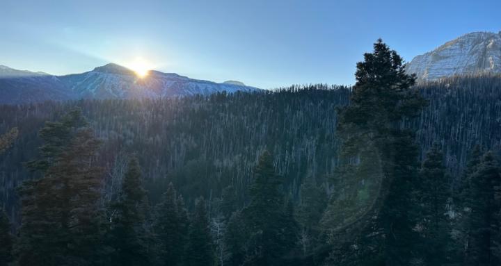 Art of Big Game Hunting