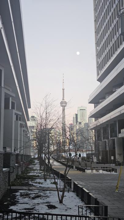 What Will Future-You Thank You For Today?