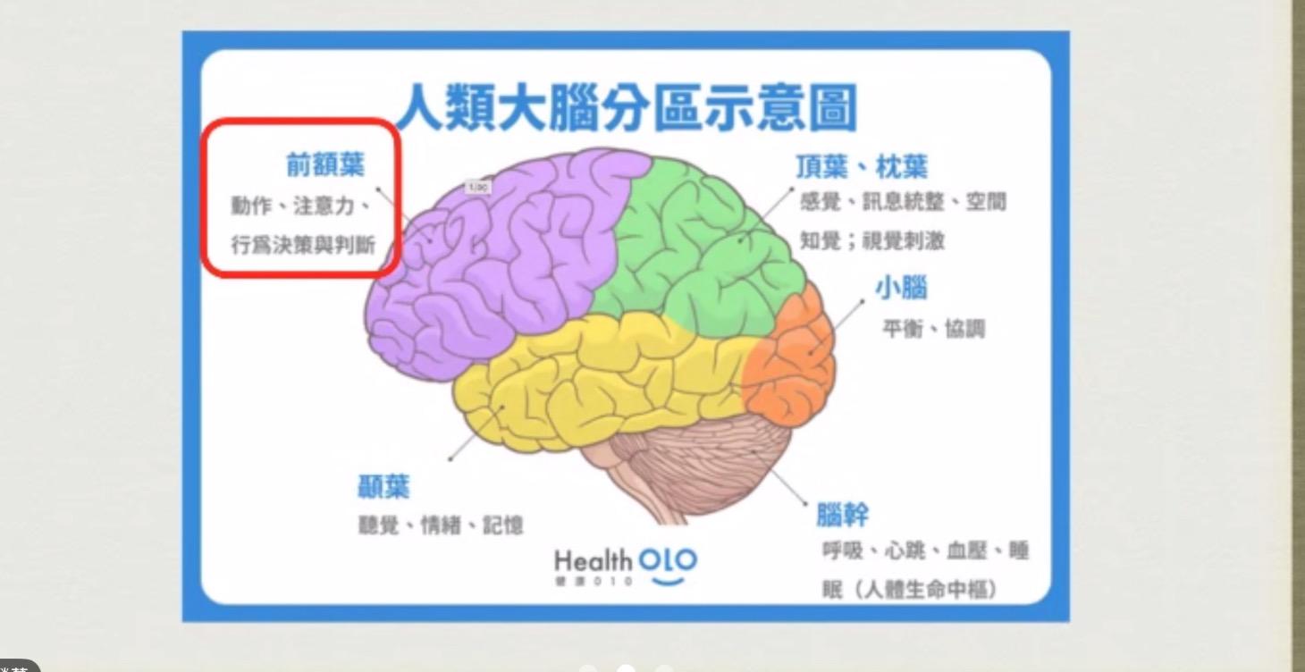 🧠《專注記憶營養筆記》