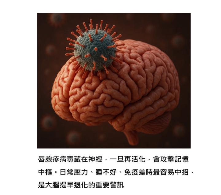 健康新知— 你的嘴巴有常長小水泡嗎？小心大腦正在提早退化。