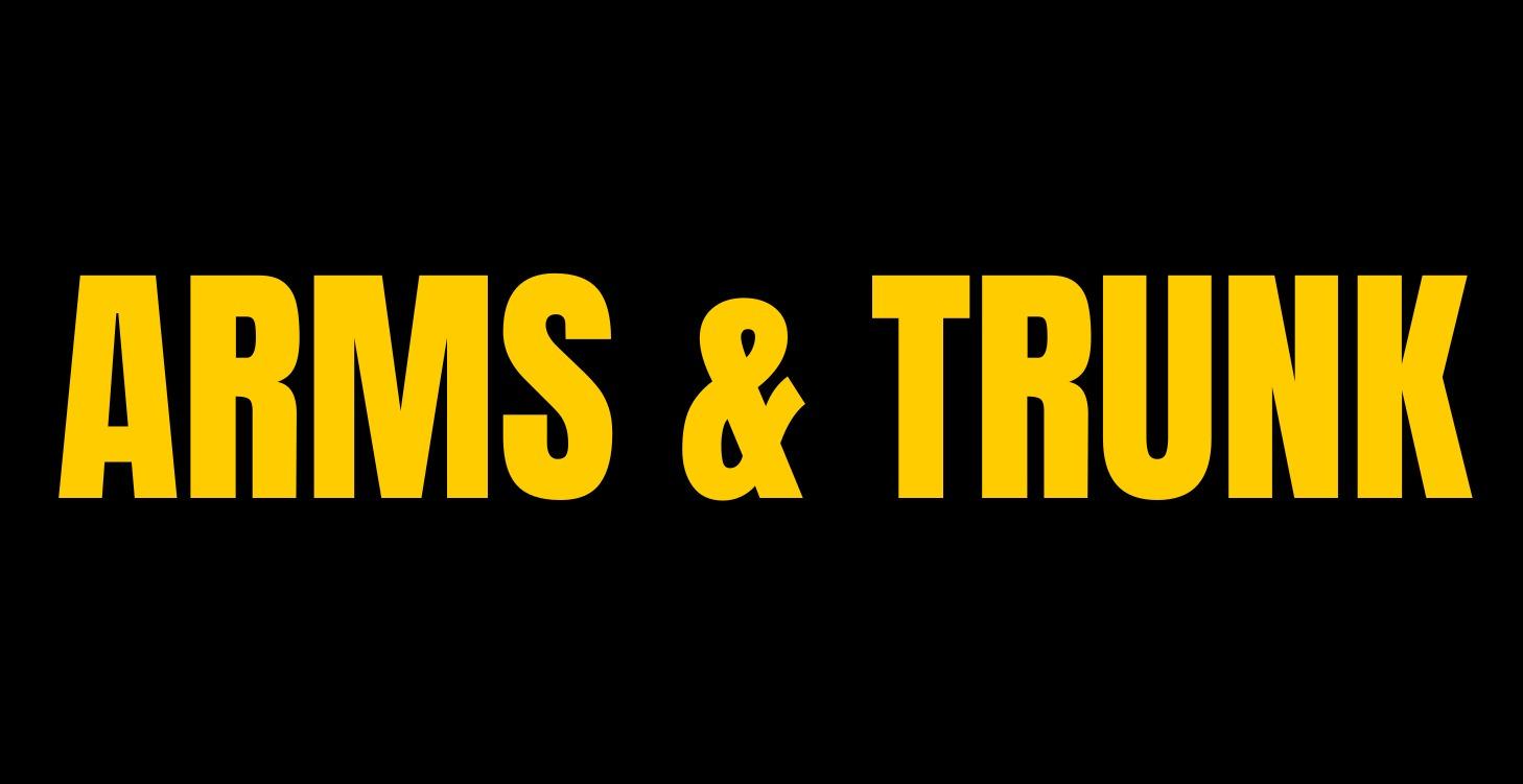 Tutorials: Arms & Trunk