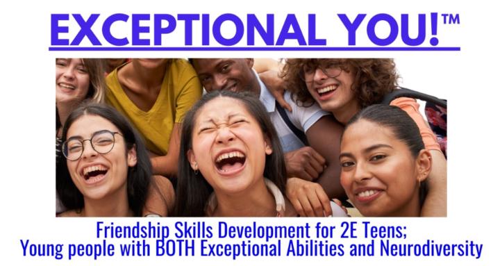 Friendship Skills for 2E Teens