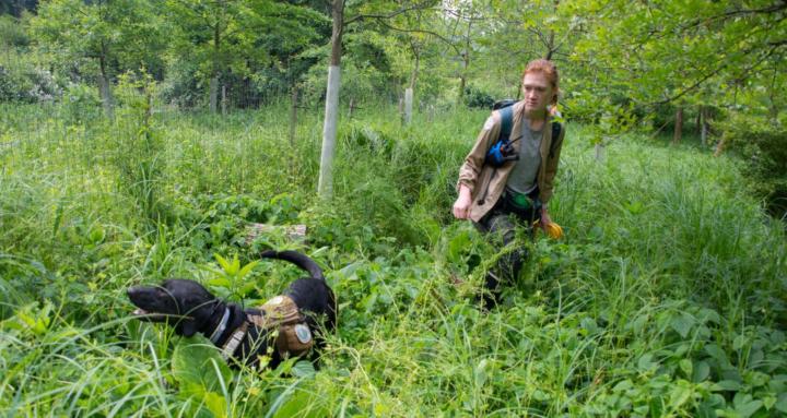 conservationdogalliance