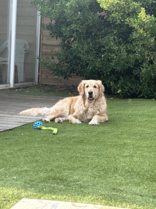 Helloooooo et bienvenue ! 