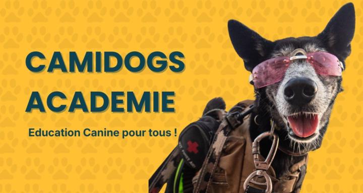 Camidogs Académie 