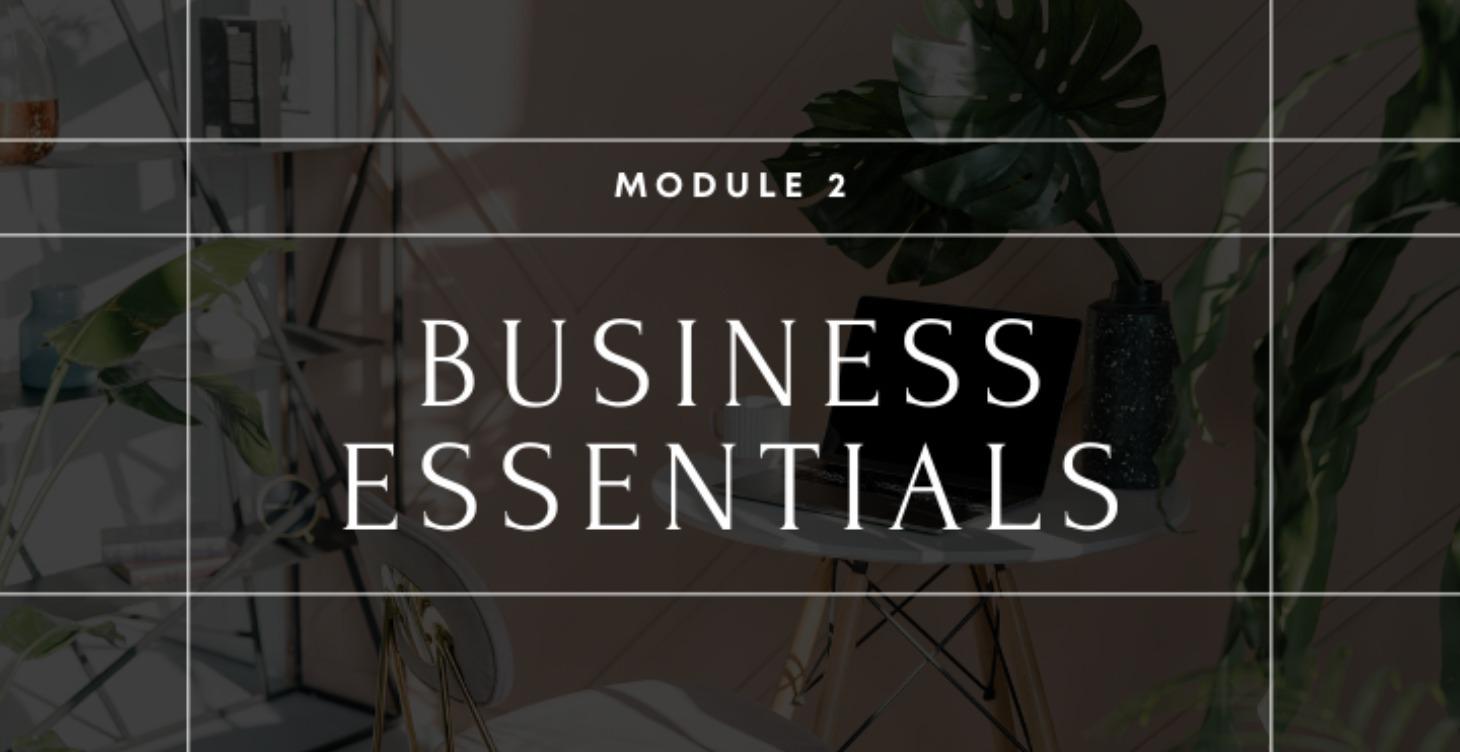 Module 2: Business Essentials