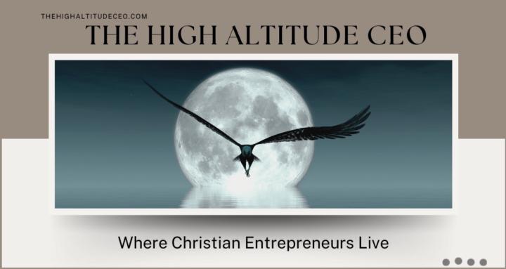 The High Altitude CEO