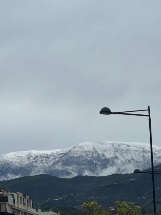 Nicolas Gutiérrez Lorca