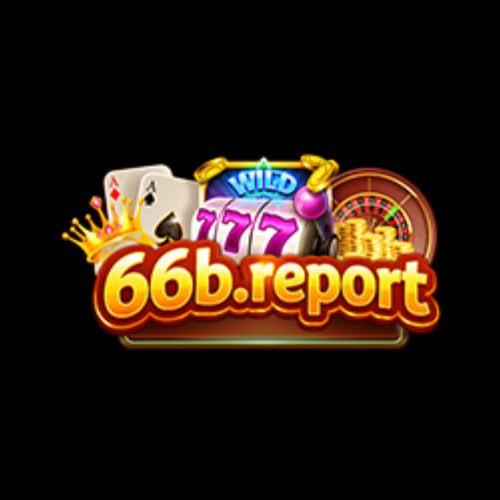 B Report