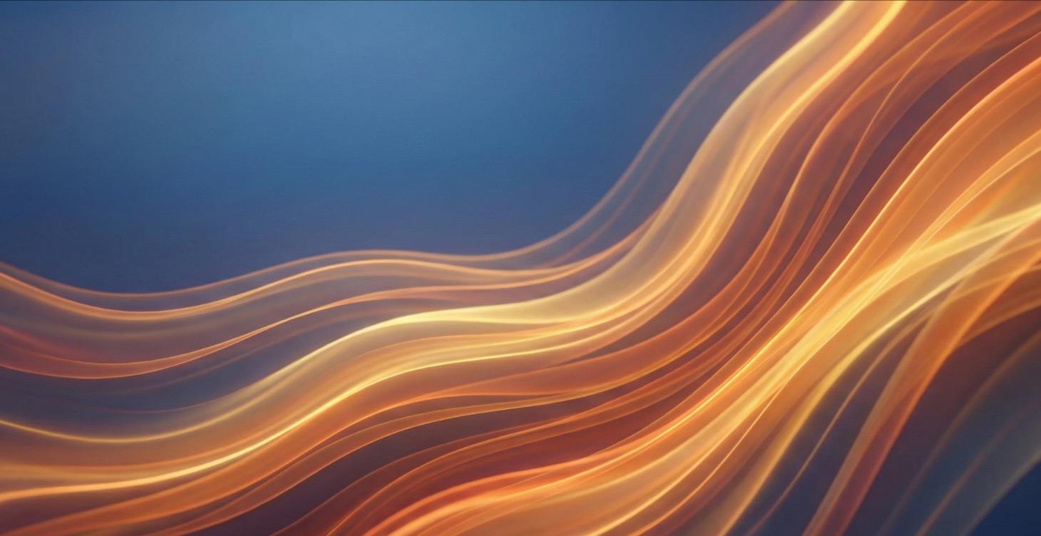 B2C Snapshot License