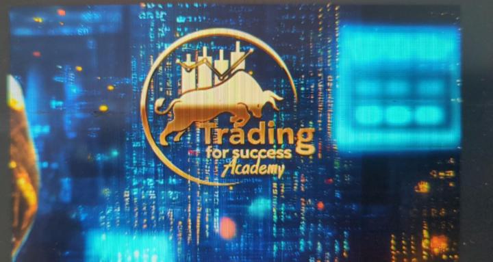 Trading 4 Success Academy