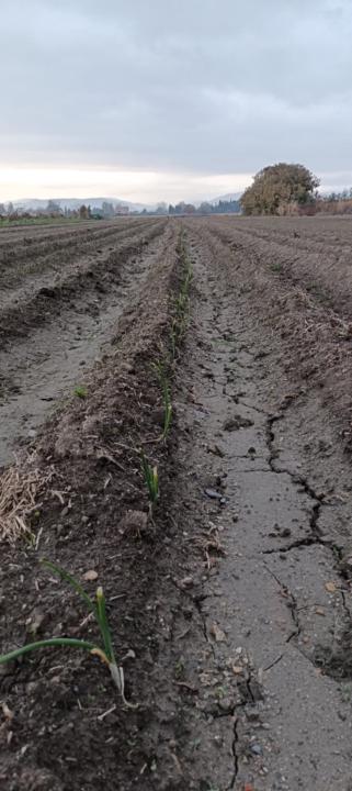 José Carlos Moreno Aguado