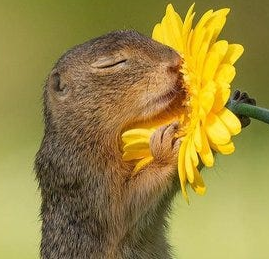 Back to Skool, Love it!