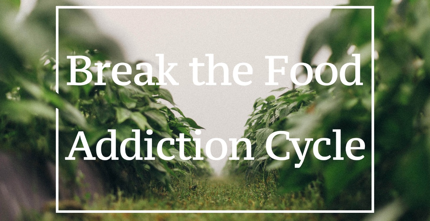 Break the Food Addiction Cycle