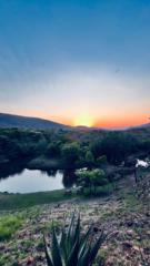 Mea Van der westhuizen