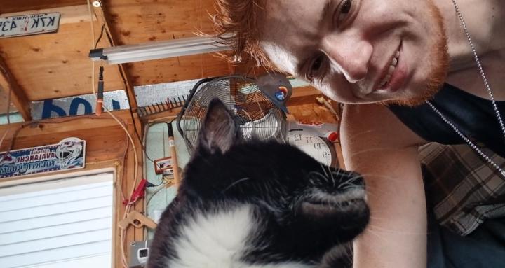 CatCondos 4 stray cats/animals