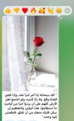 فاطمه M