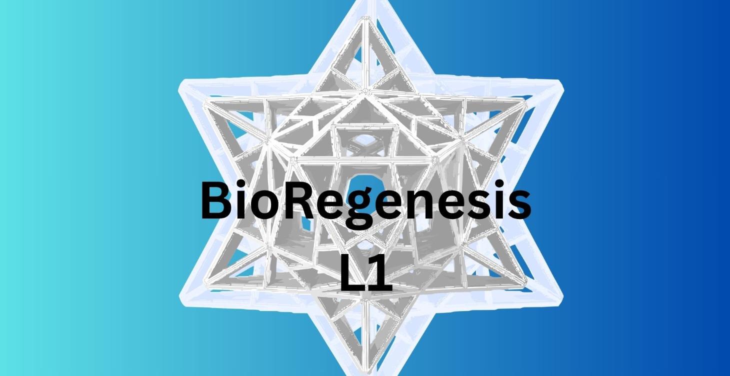 L1 BioRegenesis  -  Energy Field Cleanse