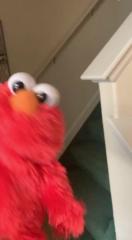 Elmo Elmos