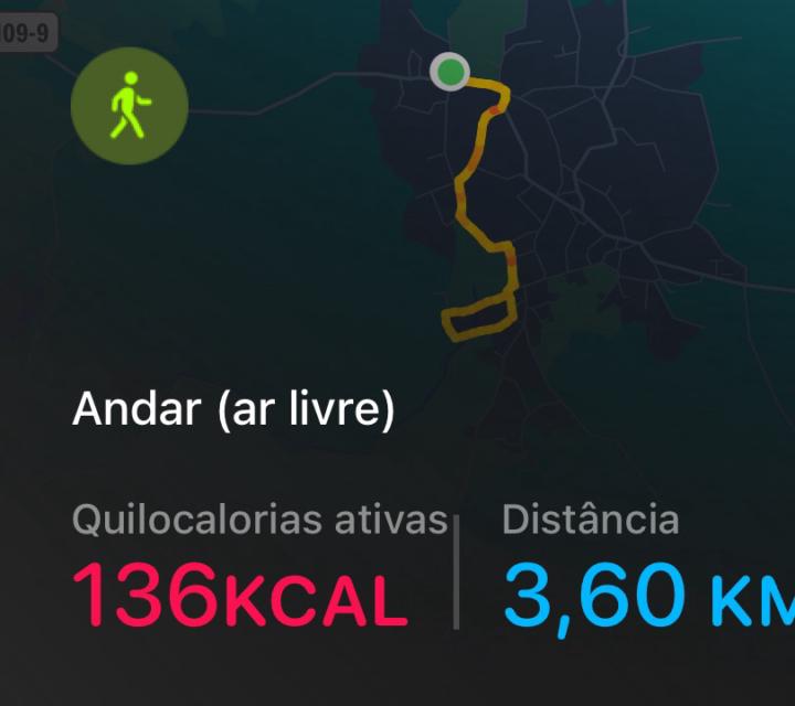 Hoje ainda tive direito a cardio 🐶 🥎 