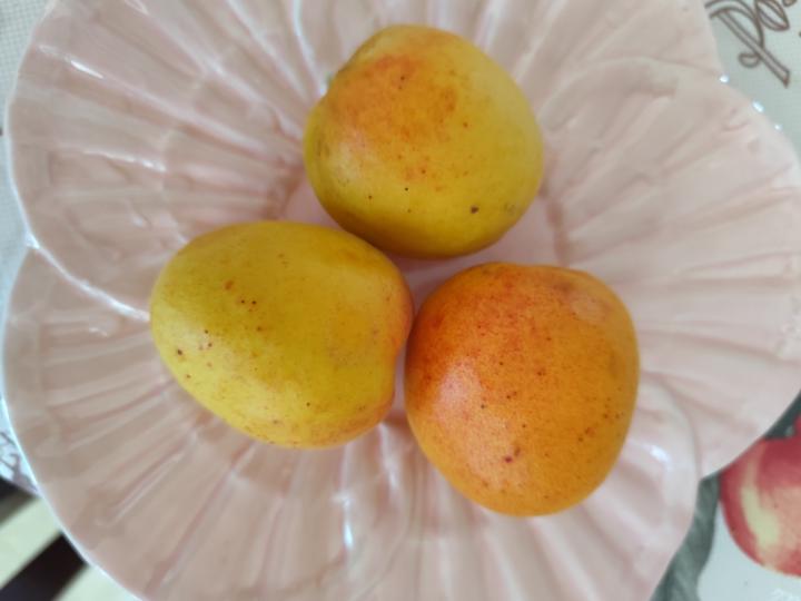 Fruta e fruta 