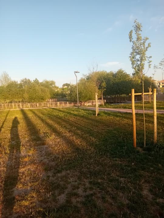 Treino fraquinho com muita tosse a mistura.. mas feito... 