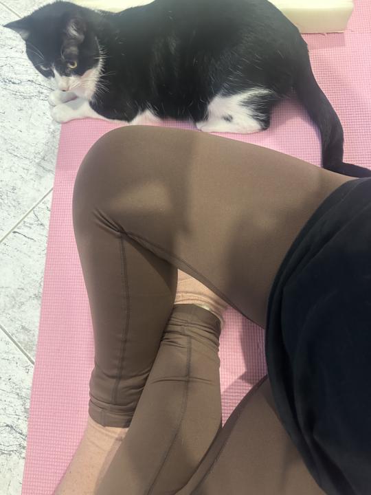 Treinos 4 e 5 feitos 💪🏻